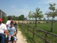 /album/menrit-04-06-2011/zeeuwse-menrit-juni-2011-020-jpg/